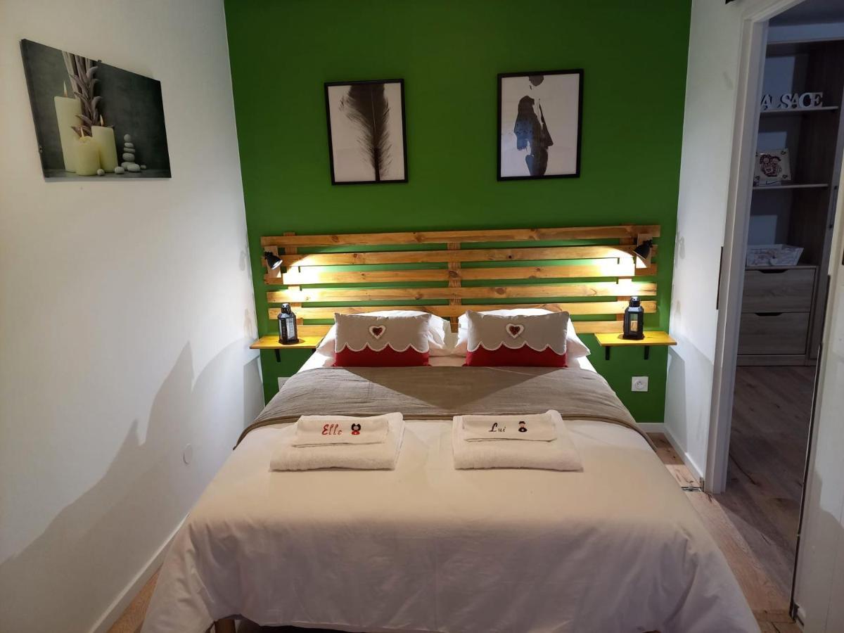 Le Passage Gite Cocooning A Colmar Centre Touristique ภายนอก รูปภาพ
