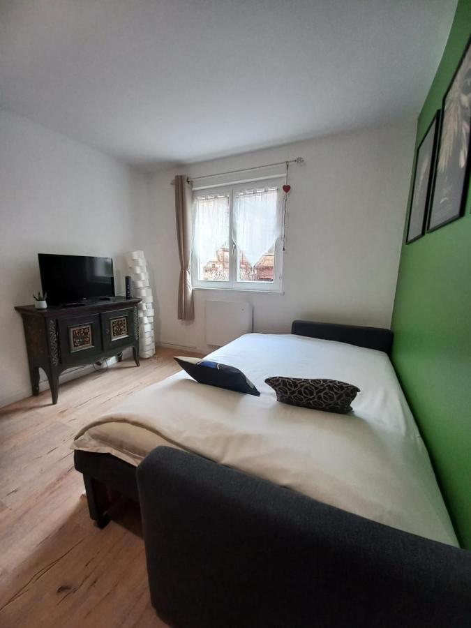 Le Passage Gite Cocooning A Colmar Centre Touristique ภายนอก รูปภาพ