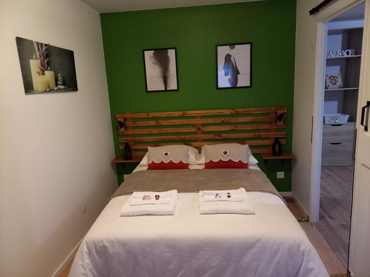 Le Passage Gite Cocooning A Colmar Centre Touristique ภายนอก รูปภาพ